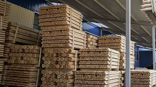 Беллесбумпром надеется подписать договор для поставок древесины в США