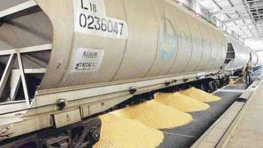 Транспортировка зерна в Омской области превысила 85 тыс.тонн
