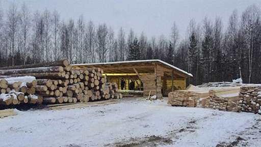 К 2022 году будет введён запрет на вывоз необработанной древесины из России