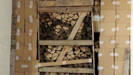 Белорусский водитель спрятал 500 тысяч пачек контрабандных сигарет в дрова и попался на границе