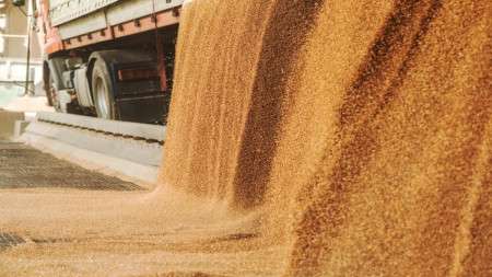 Евразийская экономическая комиссия рассмотрит предложение России о временном введении квоты на вывоз зерна