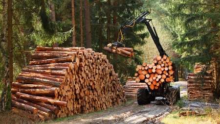 Более трёхсот экспортных грузоперевозок лесоматериалов отслеживаются при помощи навигационных пломб