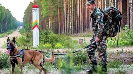 Усиление смен, создание условий для пересечения границы: реакция белорусской таможни на действия литовцев