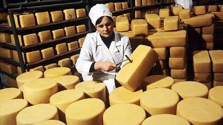 Беларусь занимает четвёртое место в мире среди экспортёров сыра