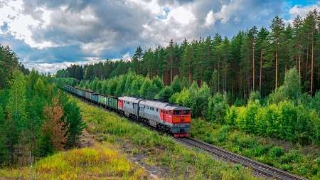 Октябрьская железная дорога поможет белорусскому экспорту с организациями поставок через порты северо-запада России