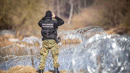 Забор на границе Польши с Беларусью будет модернизирован в два этапа