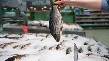 В России пресекли контрабанду норвежской рыбной продукции из Беларуси